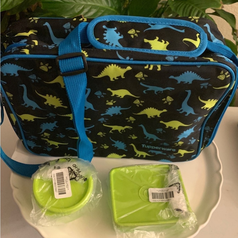 Tupperware Boys Dinasaur Lunch Bag with containers